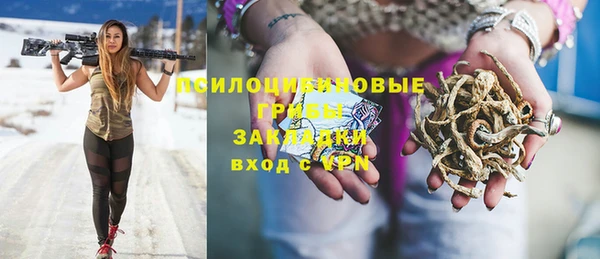 мет Алексин